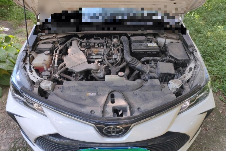 2019 #22 2019 car image #22