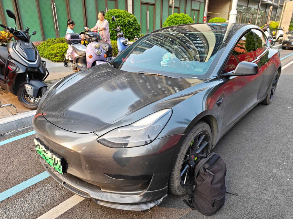 Tesla Model 3 2021 Tesla Model 3 2021 car image