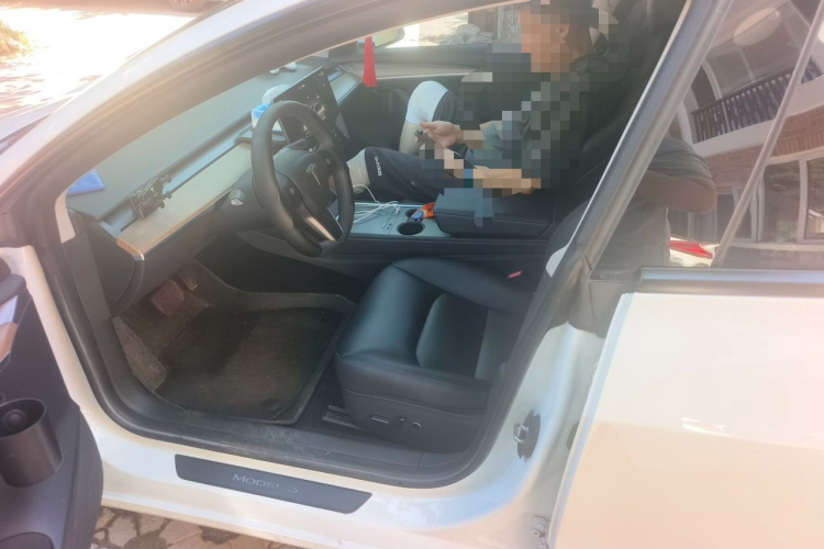 Tesla Model 3 2023 car image #19