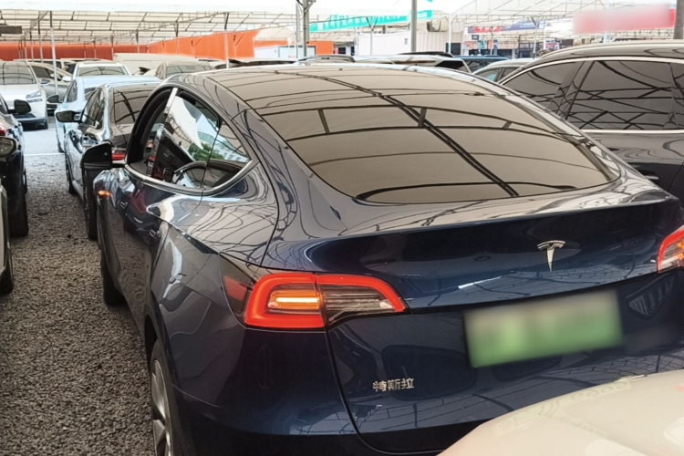Tesla Model Y 2023 #7 Tesla Model Y 2023 car image #7