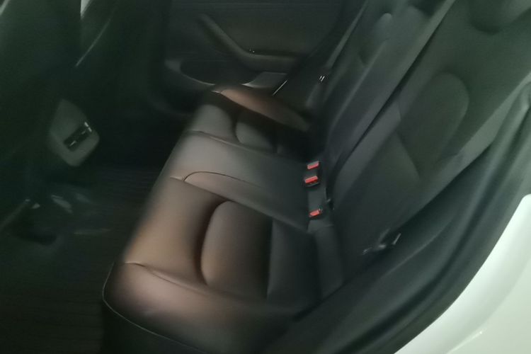 Tesla Model 3 2020 car image #17