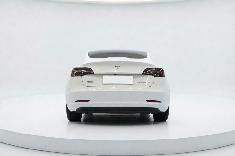 Tesla Model 3 2023 #7 Tesla Model 3 2023 car image #7
