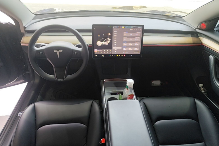 Tesla Model 3 2021 #10 Tesla Model 3 2021 car image #10