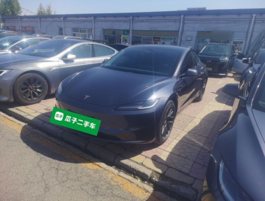 Tesla Model 3 2024 Tesla Model 3 2024 car image