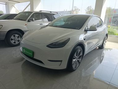 Tesla Model Y 2023 car image 