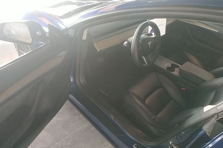 Tesla Model 3 2021 car image #16