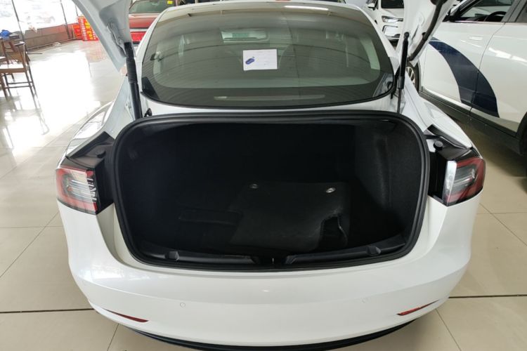 Tesla Model 3 2021 #21 Tesla Model 3 2021 car image #21