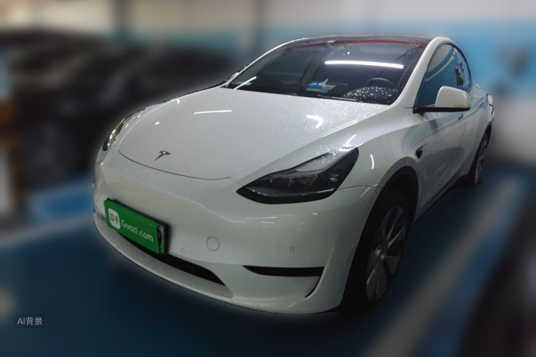 Tesla Model Y 2023 car image #2