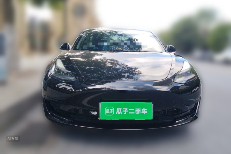 Tesla Model 3 2021 #3 Tesla Model 3 2021 car image #3