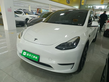 Tesla Model Y 2023 car image 