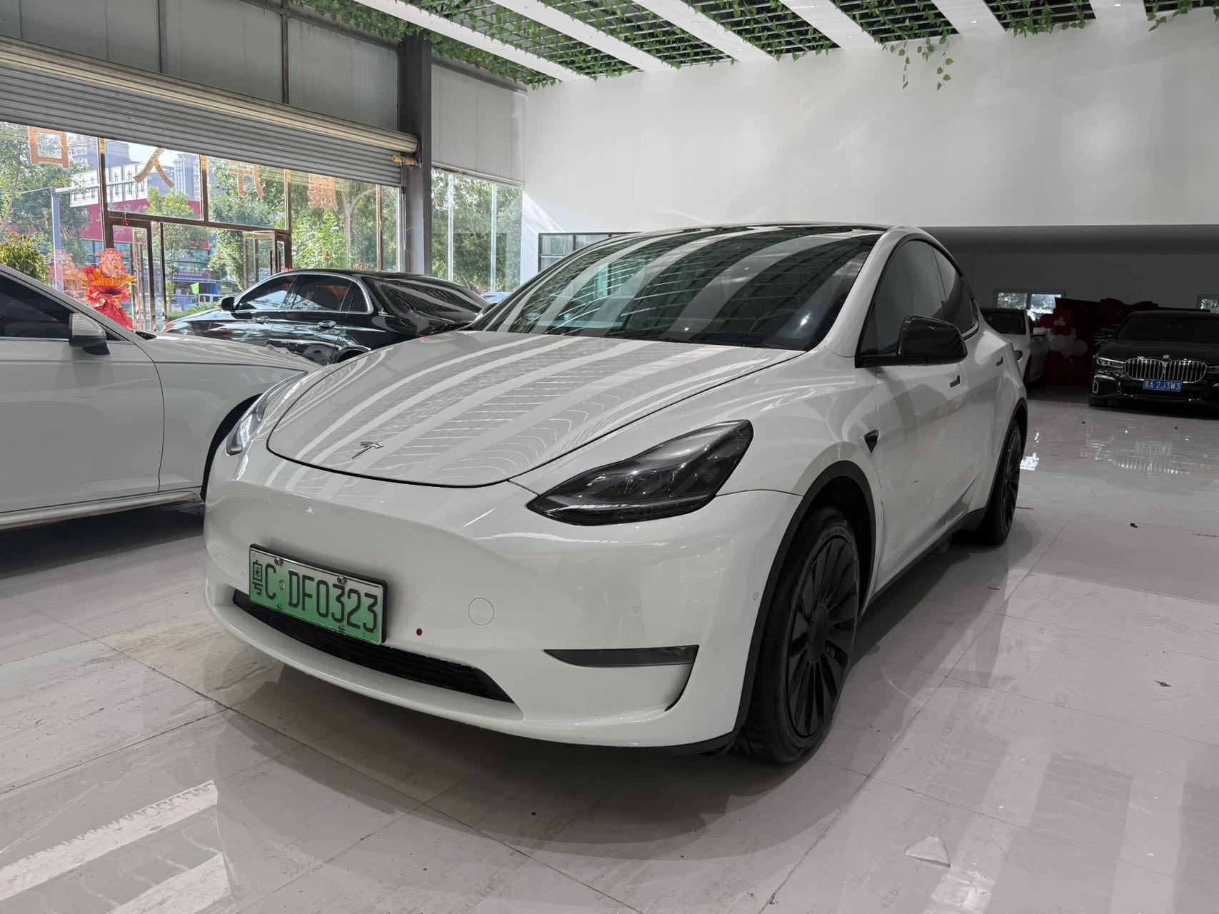 Tesla Model Y 2023 car image 