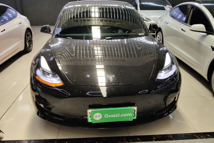 Tesla Model 3 2022 #3 Tesla Model 3 2022 car image #3
