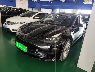 Tesla Model 3 2021 Tesla Model 3 2021 car image