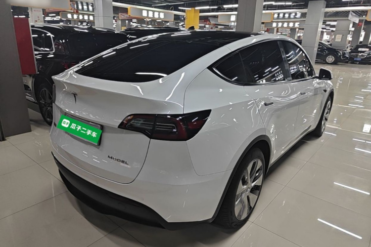 Tesla Model Y 2023 car image #7