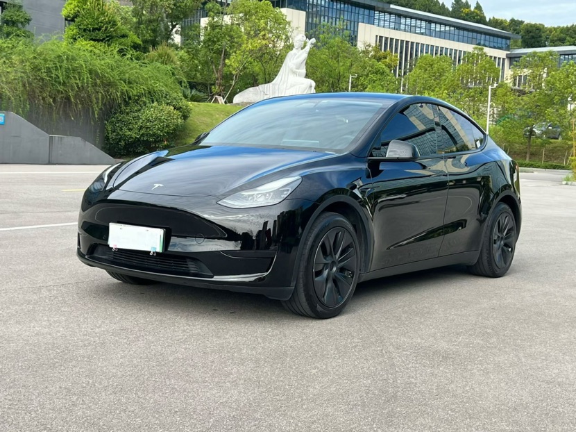 Tesla Model Y 2023 Tesla Model Y 2023 car image