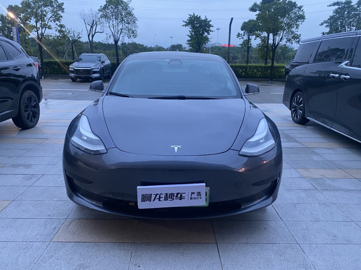 Tesla Model 3 2020 #2 Tesla Model 3 2020 car image #2