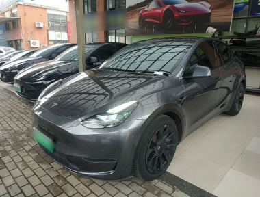 Tesla Model Y 2021 Tesla Model Y 2021 car image