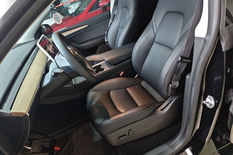 Tesla Model Y 2023 #15 Tesla Model Y 2023 car image #15
