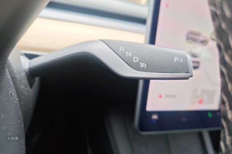 Tesla Model 3 2021 car image #16