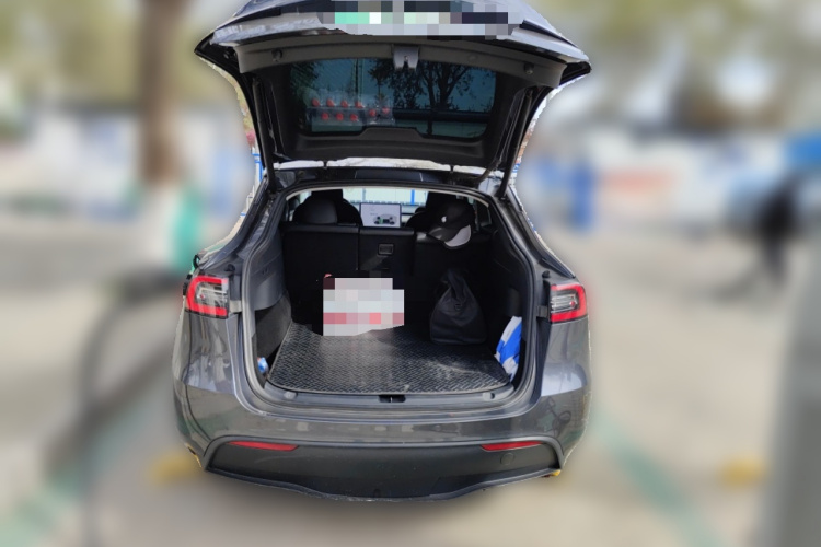 Tesla Model Y 2021 #21 Tesla Model Y 2021 car image #21
