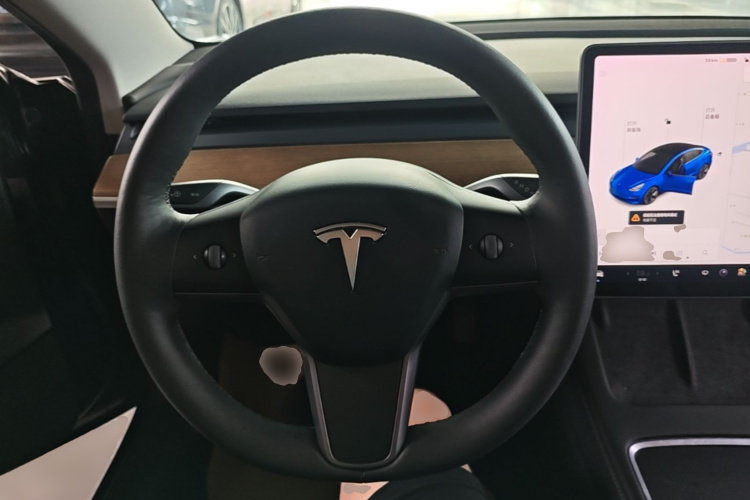 Tesla Model 3 2021 #11 Tesla Model 3 2021 car image #11