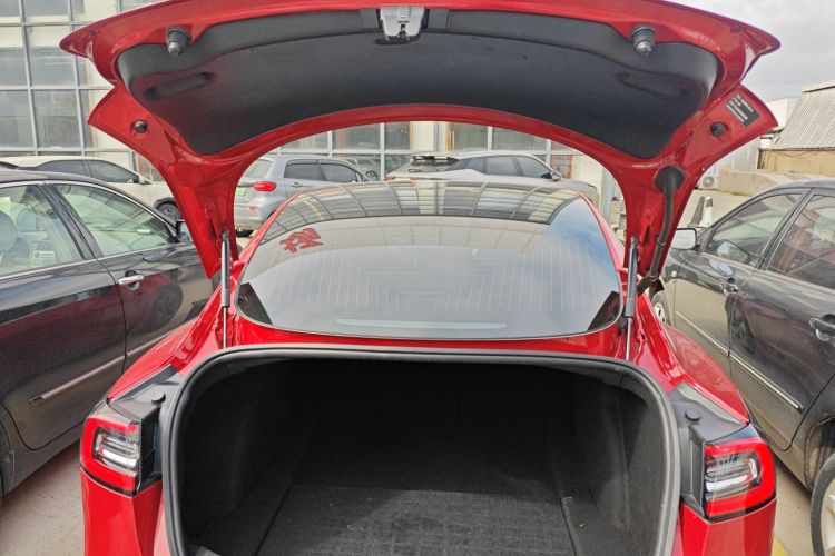 Tesla Model 3 2020 car image #19