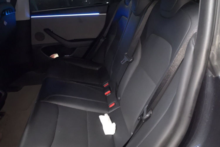 Tesla Model 3 2024 #10 Tesla Model 3 2024 car image #10