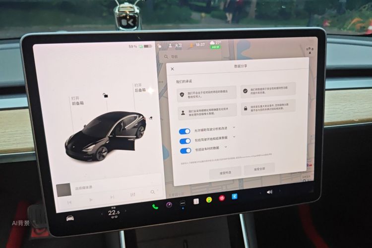 Tesla Model 3 2020 car image #13