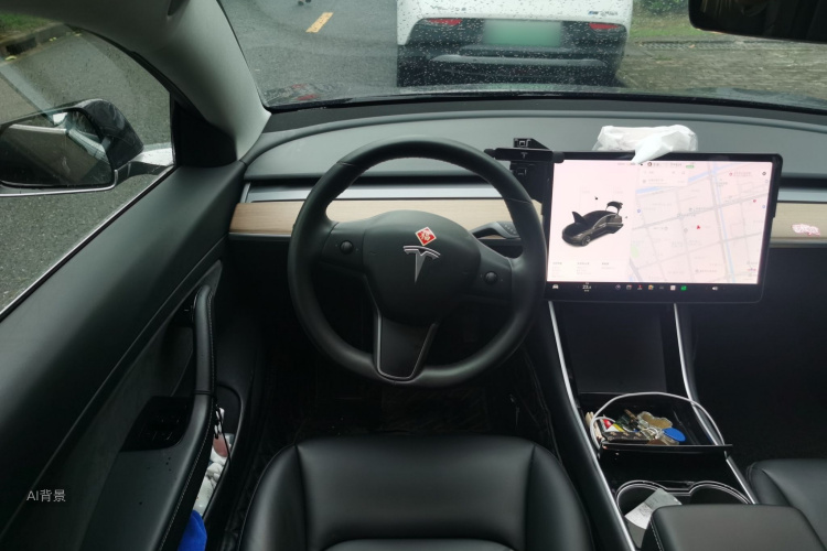 Tesla Model 3 2020 car image #12