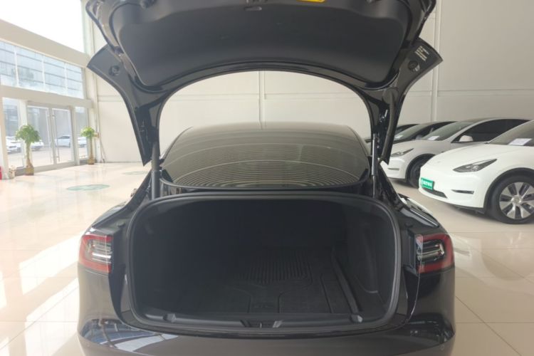 Tesla Model 3 2021 car image #19