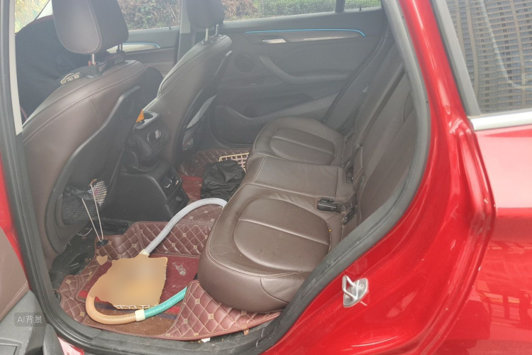 BMW X1 2017 immagine di auto #19