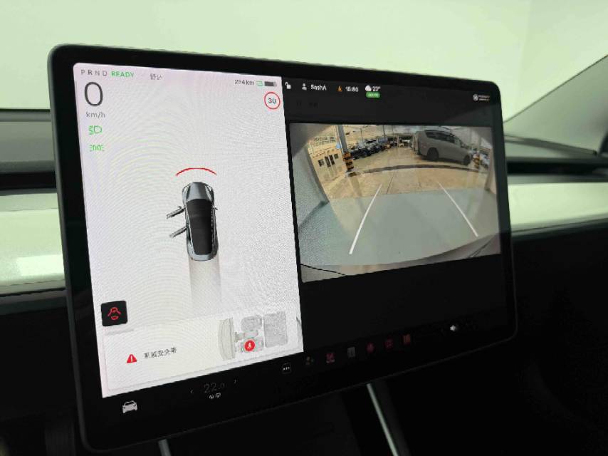 Tesla Model 3 2020 immagine di auto #6