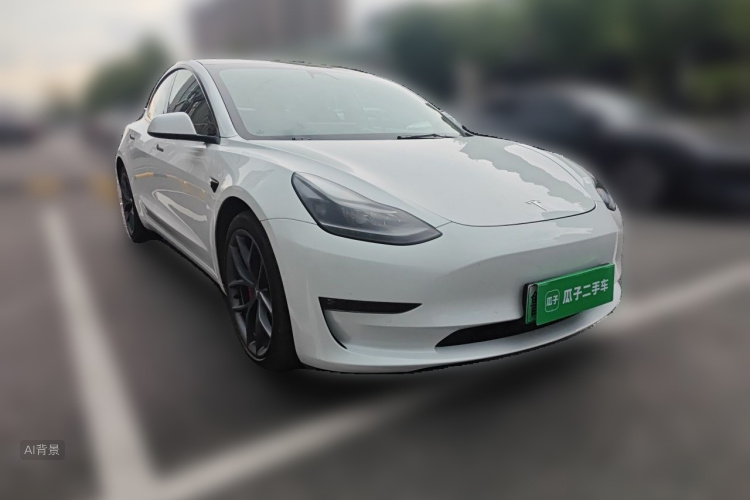 Tesla Model 3 2021 car image #4