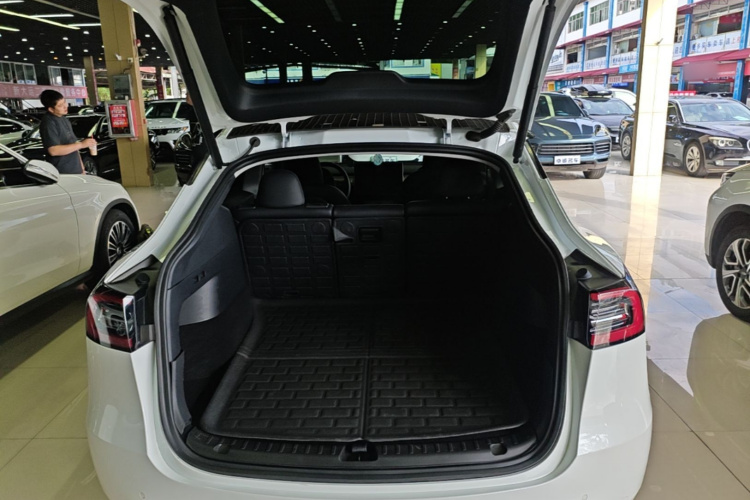 Tesla Model Y 2021 car image #21