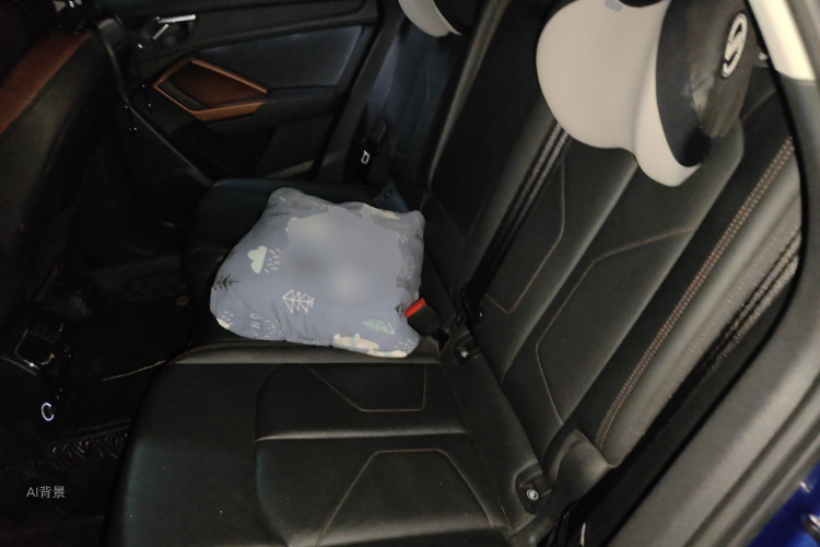 Audi Q3 2020 car image #19