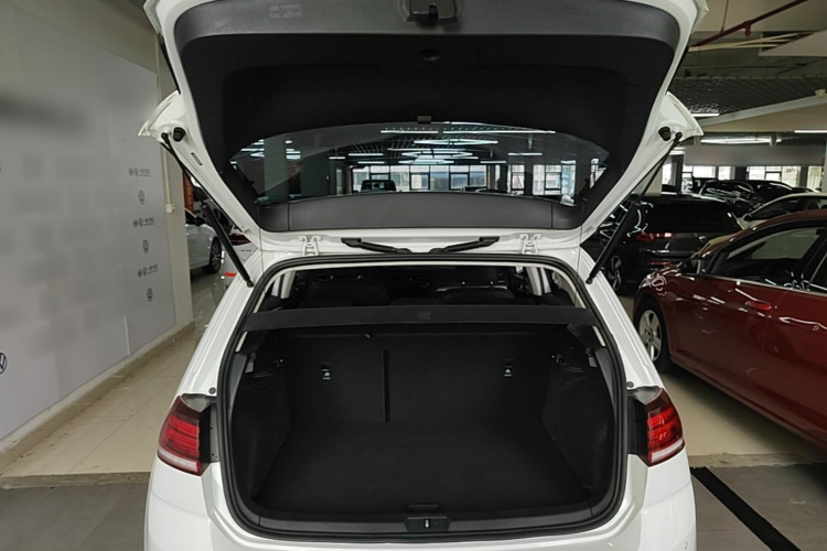 Volkswagen Golf 2019 #19 Volkswagen Golf 2019 car image #19
