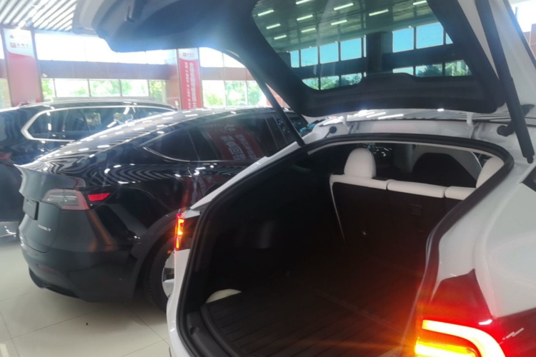 Tesla Model Y 2022 #19 Tesla Model Y 2022 car image #19