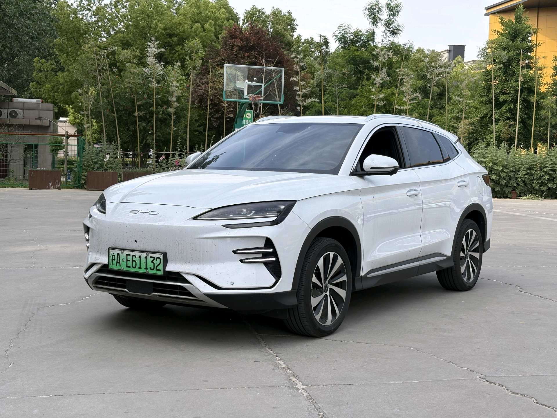 BYD Song Plus New Energy 2024 car image 