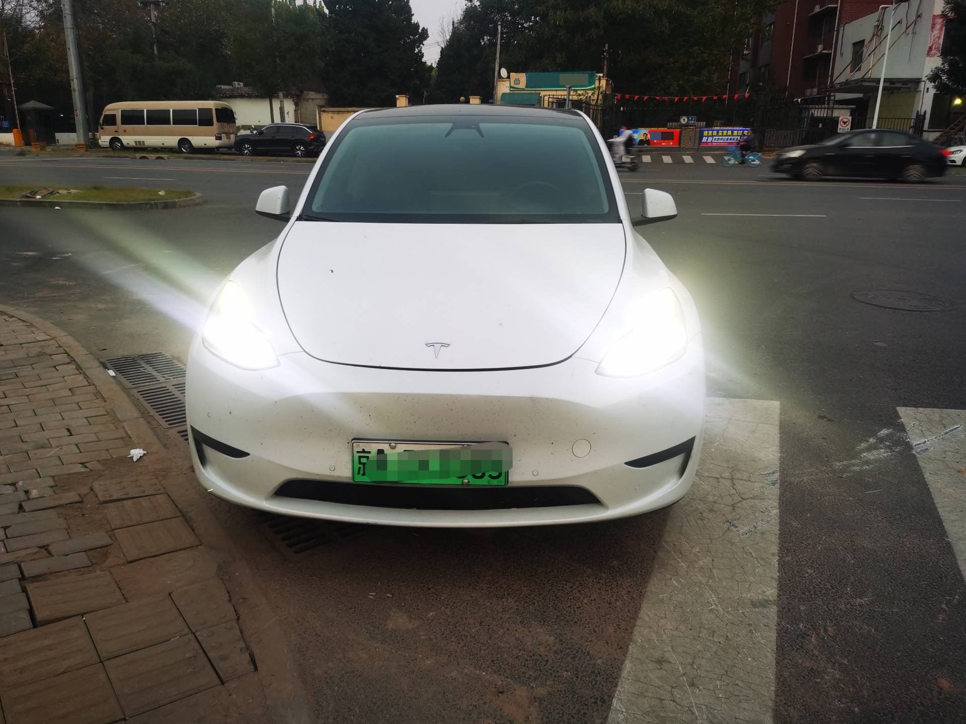 Tesla Model Y 2023 immagine di auto #2