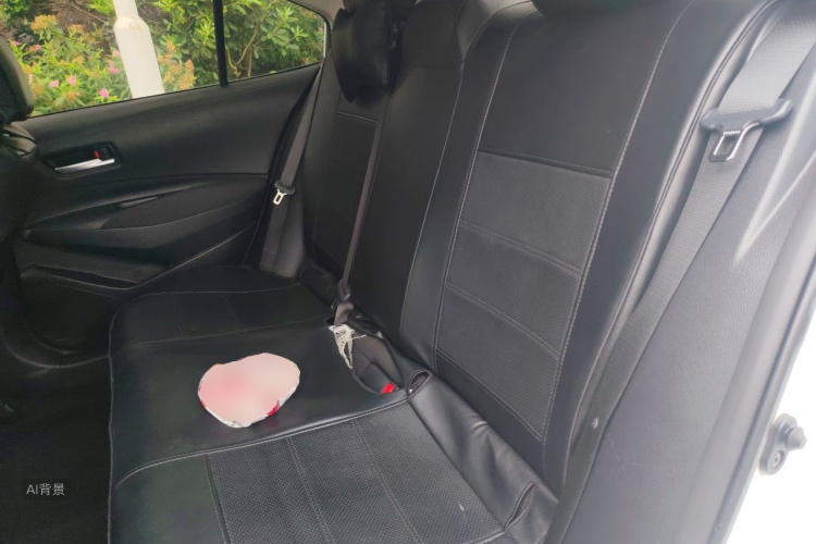 Toyota Corolla 2023 car image #19