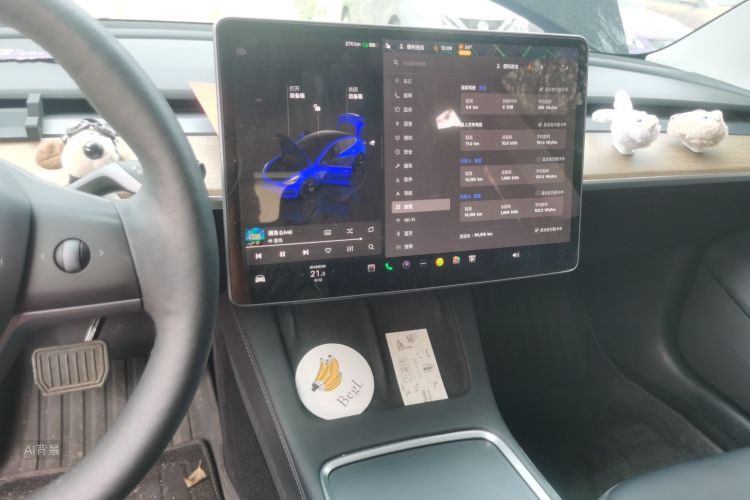 Tesla Model 3 2022 #15 Tesla Model 3 2022 car image #15