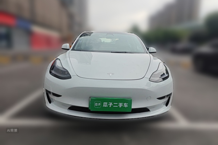 Tesla Model 3 2021 car image #3