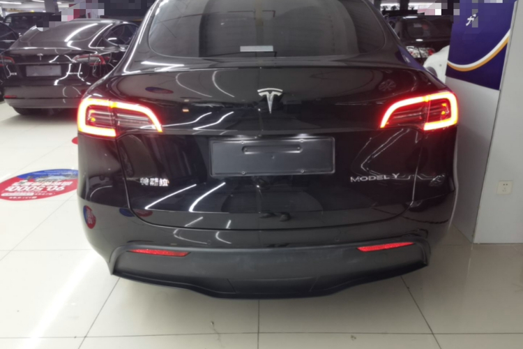 Tesla Model Y 2021 car image #6