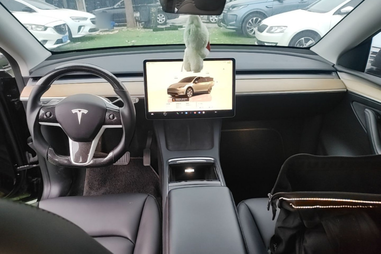 Tesla Model Y 2022 #10 Tesla Model Y 2022 immagine di auto #10