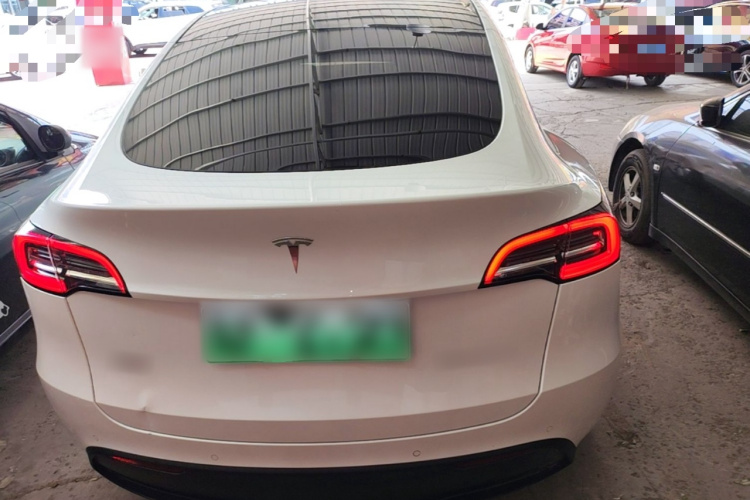 Tesla Model Y 2023 #6 Tesla Model Y 2023 car image #6