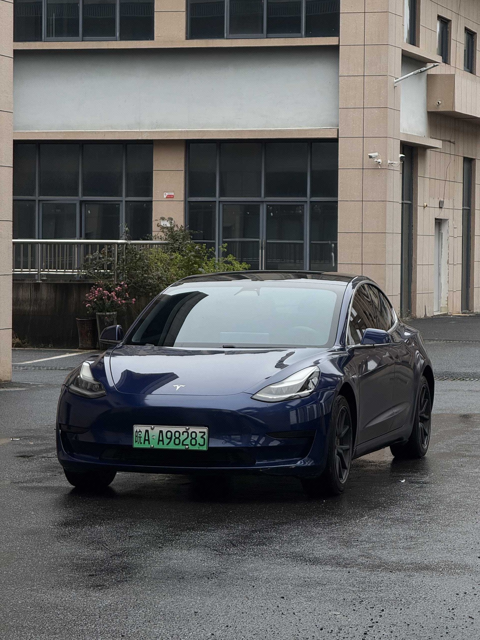 Tesla Model 3 2020 Tesla Model 3 2020 car image