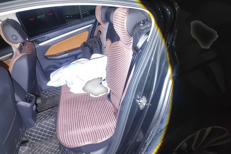 Volkswagen Bora 2024 car image #10
