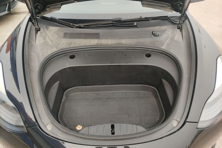 Tesla Model 3 2021 #22 Tesla Model 3 2021 car image #22