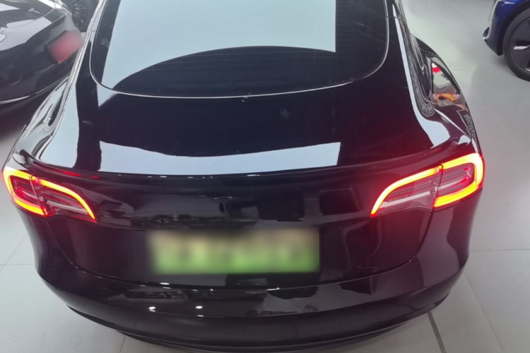 Tesla Model 3 2021 #6 Tesla Model 3 2021 car image #6