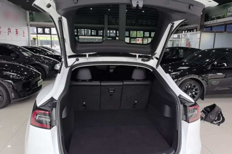 Tesla Model Y 2021 car image #19